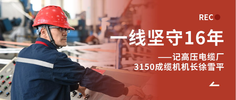 徐雪平：匠“成”于心，十六年篳路“纜”縷